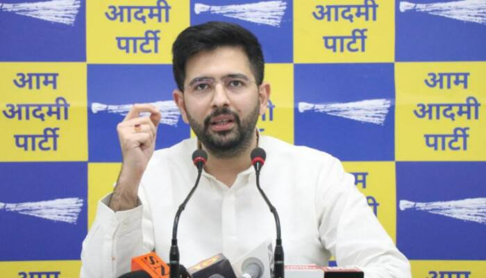 Punjab CM Charanjit Channi was terrified by Arvind Kejriwal's Bijli Guarantee: Raghav Chadha