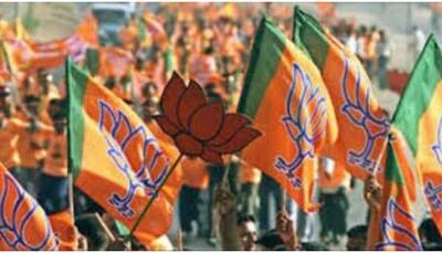  BJP's ST unit leader attacked in Jharkhand, hospitalised