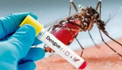 Dengue cases: Centre rushes high-level teams to 9 states, UTs to curb infection