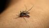 With 13 fresh Zika virus cases Kanpur's tally rises to 79, Delhi govt on high alert 