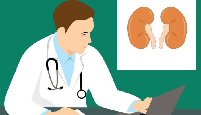 Diabetes drug can improve kidney function: Lancet