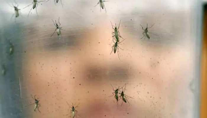 Zika virus: 10 more people test positive in UP&#039;s Kanpur, tally rises to 89