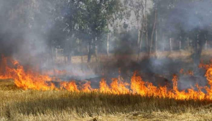  Why air quality has deteriorated sharply in Delhi, check reasons here  