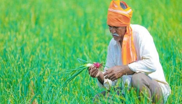 PM-KISAN 10th instalment on December 15: No disbursals for incorrect bank, Aadhaar details; here&#039;s how to correct it