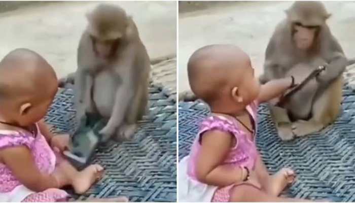 Viral video: Monkey and toddler snatch mobile phone from each other,  uproarious video goes viral | viral News | Zee News
