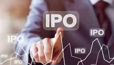 Sapphire Foods India IPO subscribed 6.62 times, check allotment, listing date
