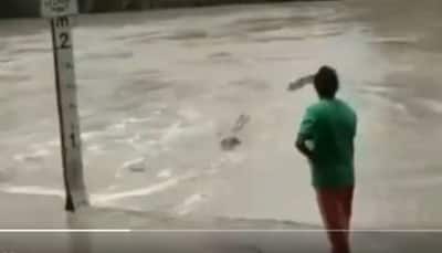 Watch: Woman uses chappal to scare off crocodile, Twitter reacts
