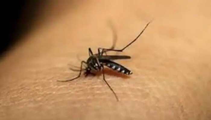 Uttar Pradesh: Kanpur records 13 more Zika virus cases