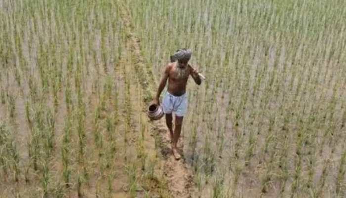 PM Kisan Yojana: Farmers can get monthly pension of Rs 3000 with Rs 2000 instalment, here’s how