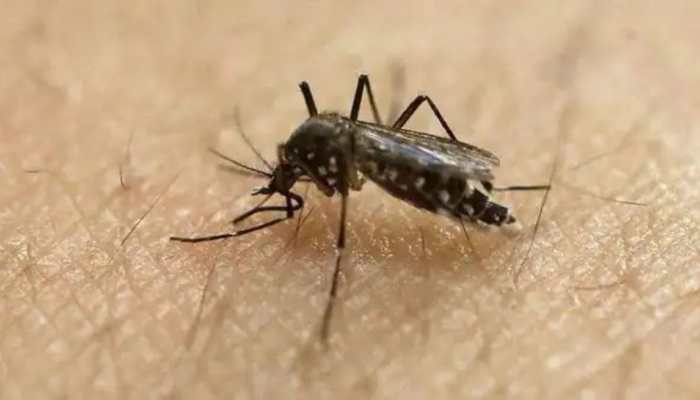 Rare case of post-dengue mucormycosis reported in Delhi hospital