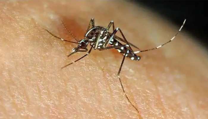 UP&#039;s Kanpur reports 123 Zika virus cases so far, active cases reach 96