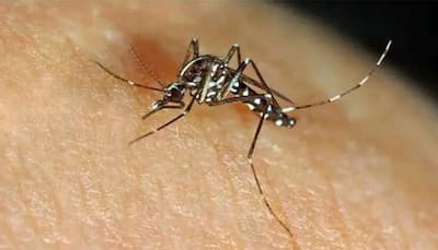 UP's Kanpur reports 123 Zika virus cases so far, active cases reach 96
