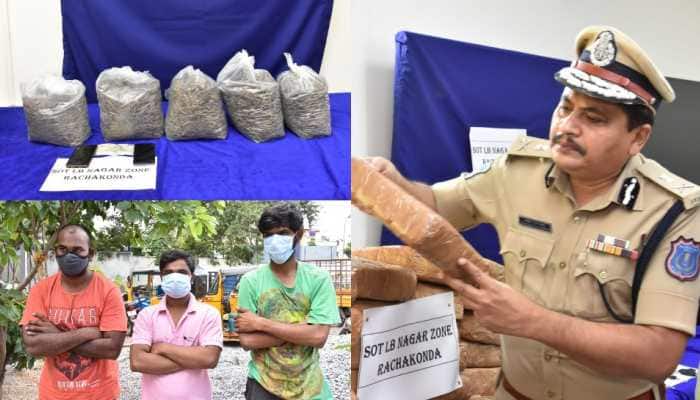 Telangana Police seize 1,240 kg Marijuana worth over Rs 2 crore, three held
