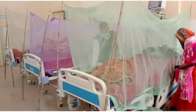 Delhi reels under dengue outbreak as total cases surpass 5000