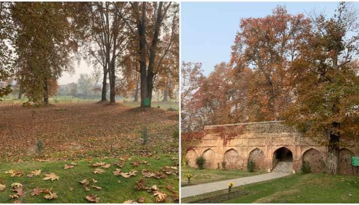 Tourists throng Kashmir as autumn turns the Valley red 