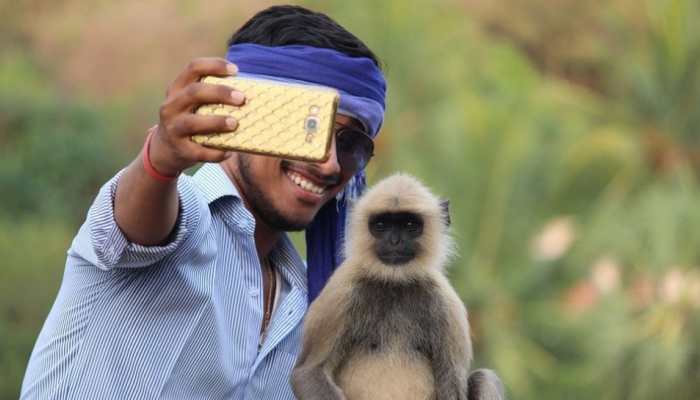 You can&#039;t miss this adorable fight between a monkey and baby for mobile phone - Watch
