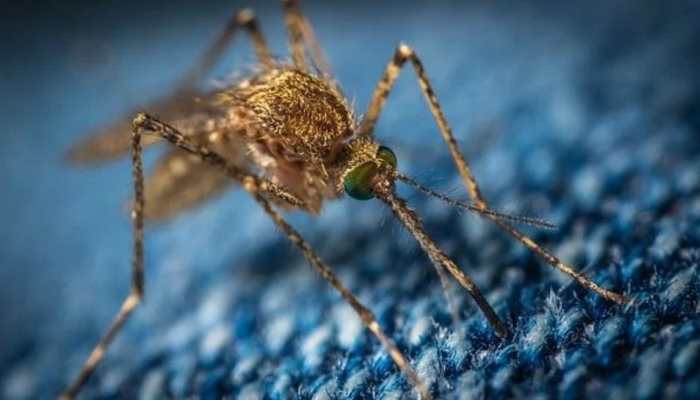 After Lucknow, Uttar Pradesh&#039;s Unnao reports its first Zika Virus case