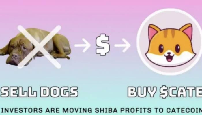 Catecoin Aims to Overtake Rivals Shiba Inu, Doge with Superior Tokenomics &amp; Utility
