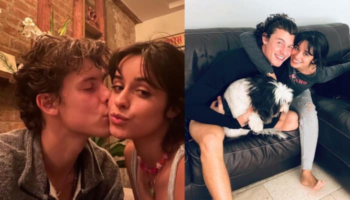 Shawn Mendes, Camila Cabello split after 2 years of dating
