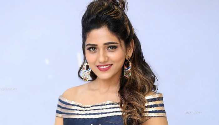 Tollywood actress Shalu Chourasiya's attacker still at large, police steps up probe