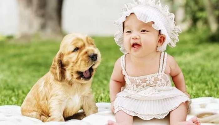 This dog teaching a baby to crawl is the cutest thing on internet today, Watch