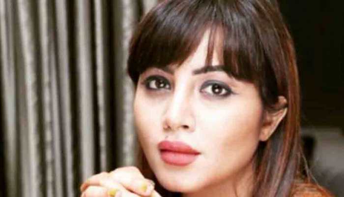 Bigg Boss fame Arshi Khan escapes car accident in Delhi, hospitalised