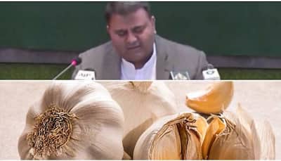 Pakistan minister says ‘garlic is adrak’ and Twitter roasts him