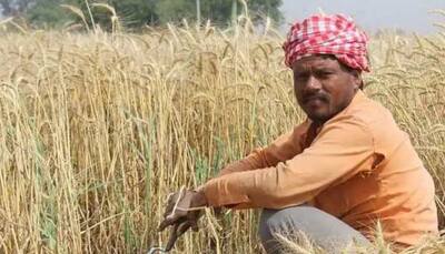 PM Kisan: Farmers could get 10th instalment before New Year, here’s how to check status 