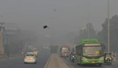 No respite to residents as air quality 'very poor' in Delhi and Gurugram, 'severe' in Noida