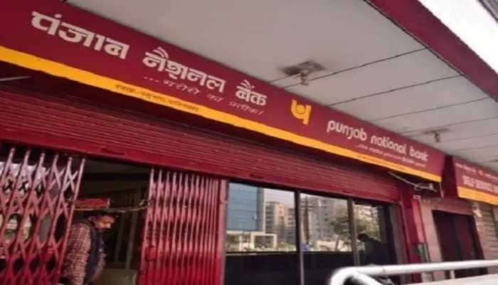 PNB puts up National Steel &amp; Agro Industries for sale to recover Rs 200 crore dues