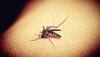 Rise in dengue cases