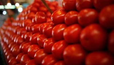After onions, tomatoes denting kitchen budget; 44% Indian households paying over Rs 60/kg for it