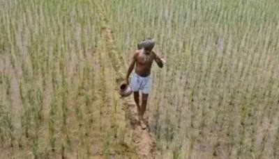 PM Kisan 10th instalment: Farmers could get Rs 2000 by Dec 15, check how to add name