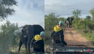 Terrifying! Angry elephant attacks safari tourists, what happens next - watch viral video!