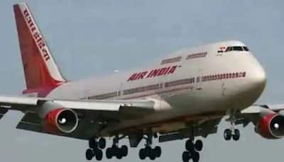 Air India Sale: AI union moves Madras HC against disinvestment
