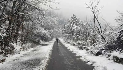 Jammu and Kashmir, Ladakh witness fresh snowfall, border roads closed