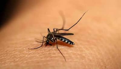 Deadly dengue wreaks havoc in Delhi, death toll rises to 15