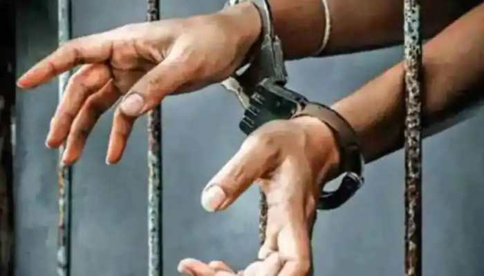 Two terrorists arrested in Jammu and Kashmir&#039;s Sopore