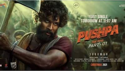 Allu Arjun, Rashmika Mandanna-starrer 'Pushpa' trailer out