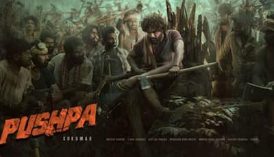 Rohit Shetty praises Allu Arjun's 'Pushpa' trailer as it garners 1.9 crore views
