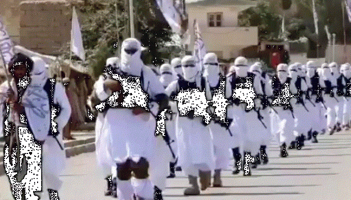 Al-Qaida numbers 'slightly' up inside Afghanistan since American forces left, says US Commander
