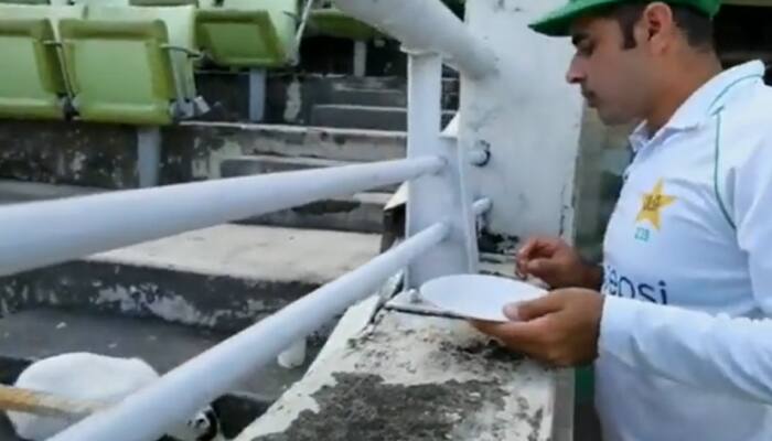 Pakistan's Abid Ali feeds cat during 2nd BAN vs PAK Test — WATCH
