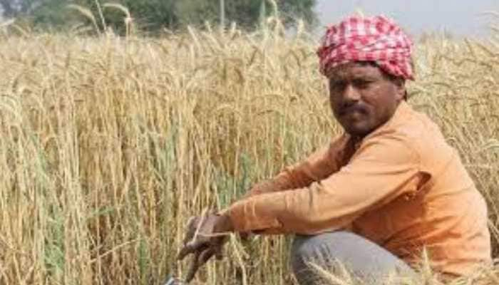 PM Kisan Yojana: Select farmers can get Rs 4000 instead of Rs 2000 in 10th instalment, check eligibility 