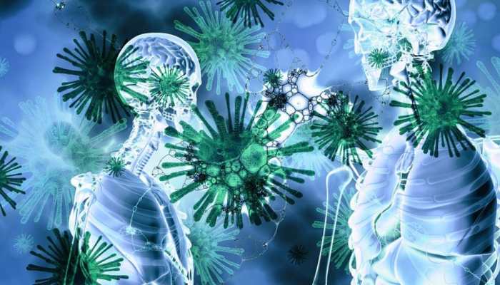 Malaria drug may protect lung cells against COVID-19: Scientists