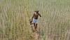 PM Kisan Yojana: Centre to release 10th instalment soon; here’s how to check name in beneficiary list  