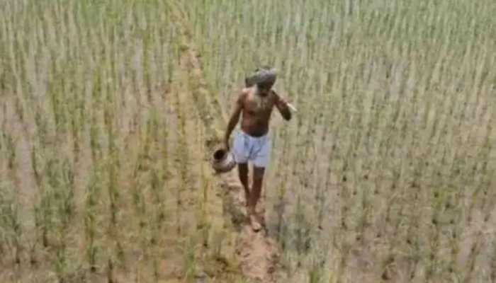 PM Kisan Yojana: Centre to release 10th instalment soon; here’s how to check name in beneficiary list  