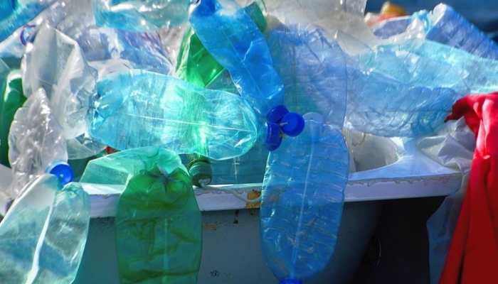 Karnataka to launch a plastic waste sculpture museum Karnataka to launch a plastic waste sculpture museum