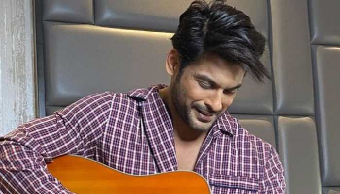 From aspiring interior designer to Bigg Boss 13 winner, a look at Sidharth Shukla's journey on his birth anniversary