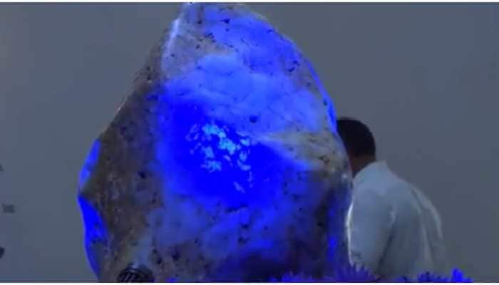 Sri Lanka unveils world&#039;s biggest blue sapphire &#039;Queen of Asia&#039; weighing over 300 kgs