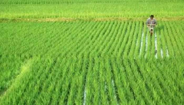 Pradhan Mantri Krishi Sinchayee Yojana: Cabinet approves implementation of PMKSY for 2021-26 